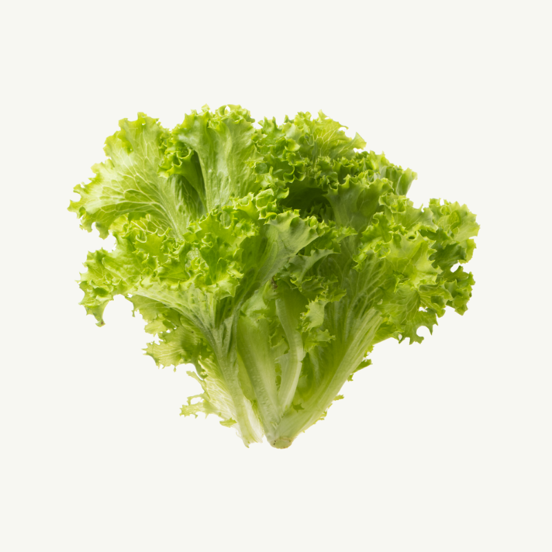 Mehevä lehtisalaatti hover