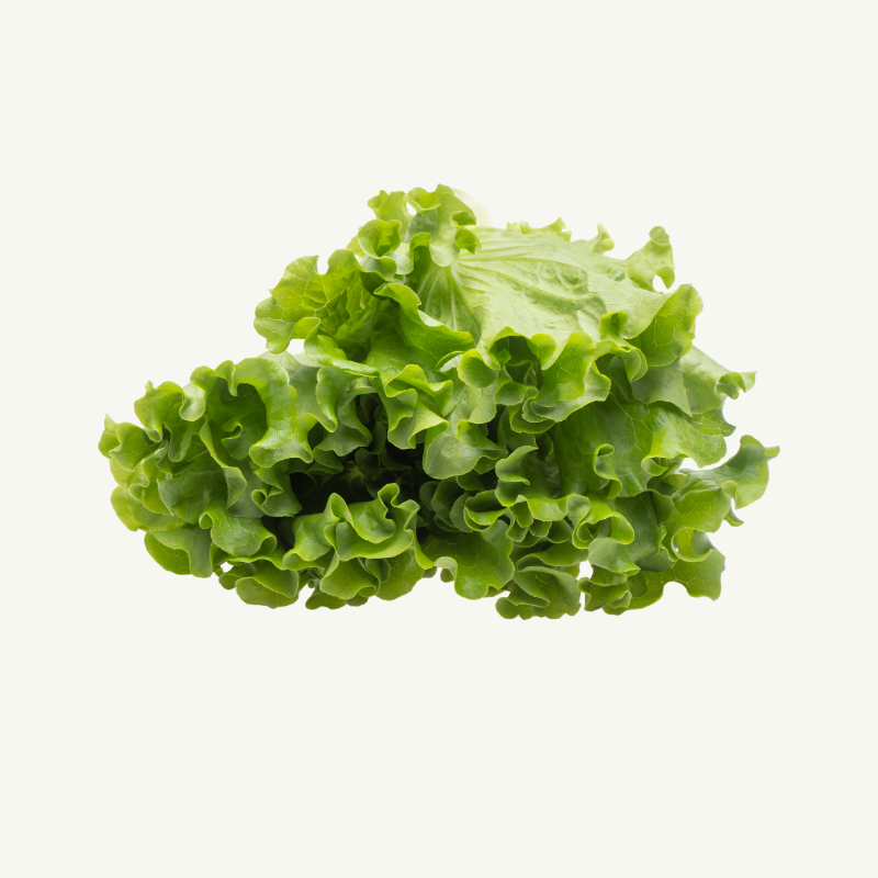 Mojova lehtisalaatti hover