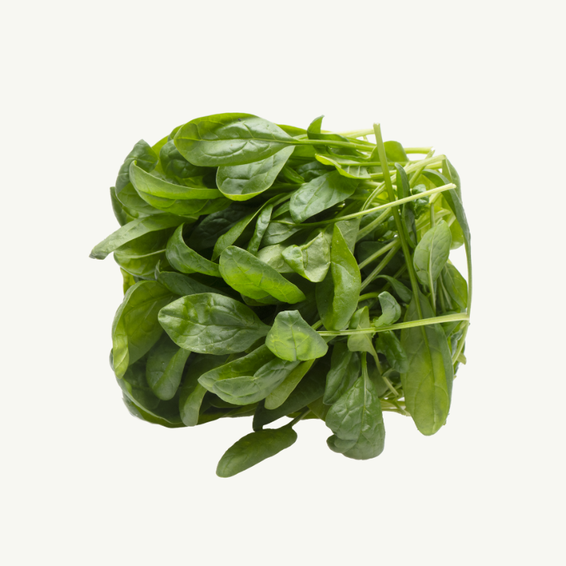 Pinaatti rasia hover