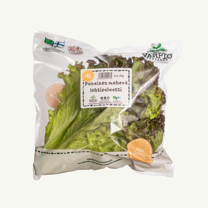 Punainen mehevä lehtisalaatti