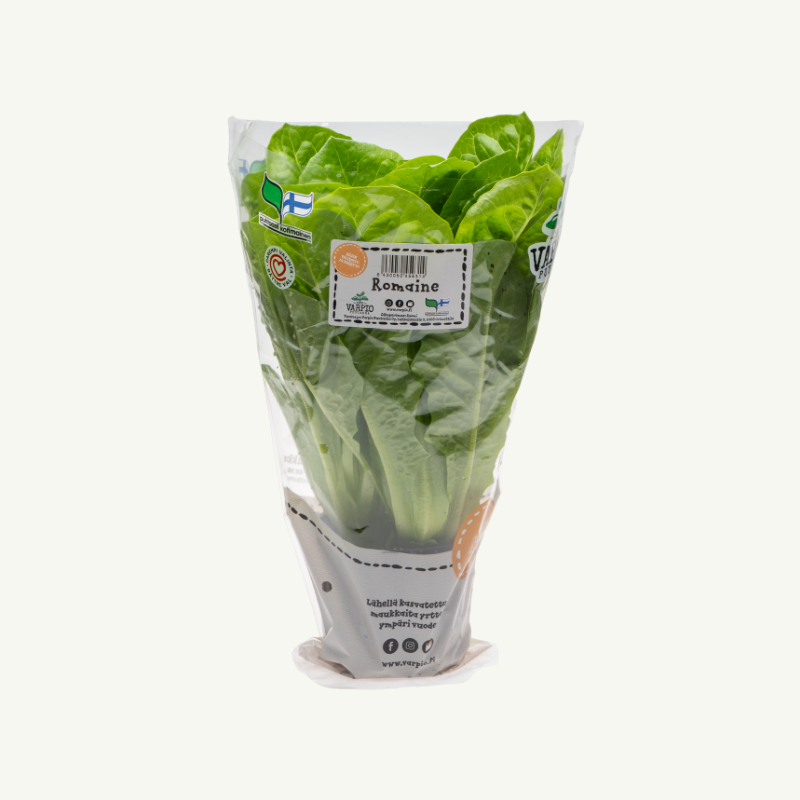 Romaine ruukussa