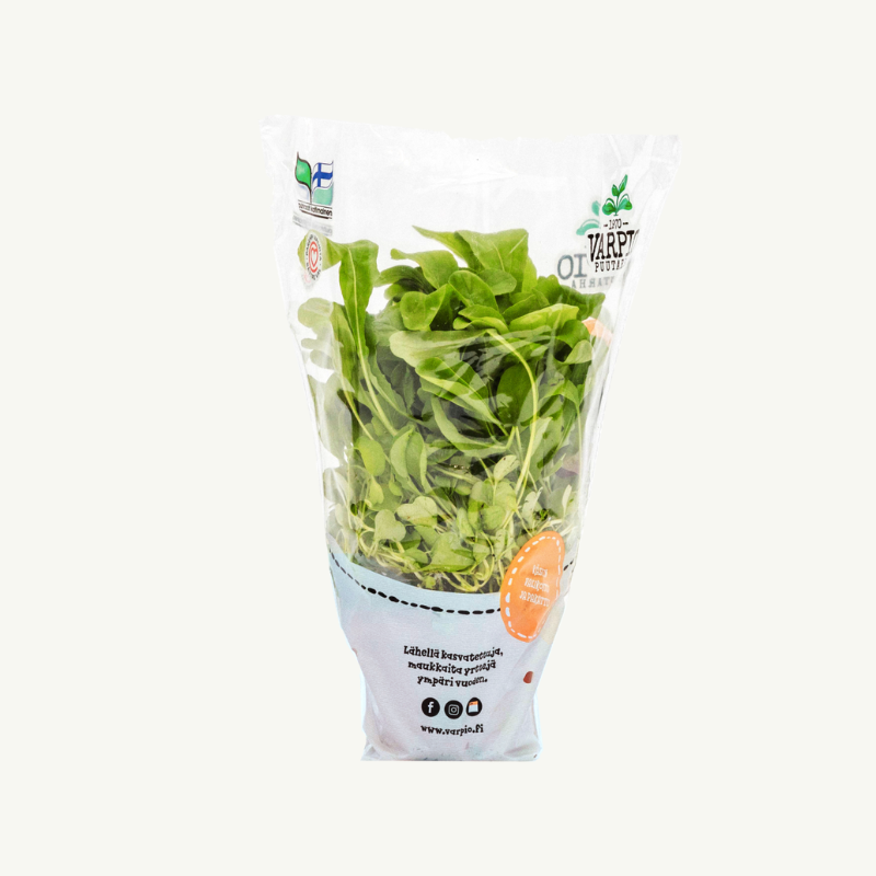 rucola